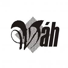 logo FS Váh